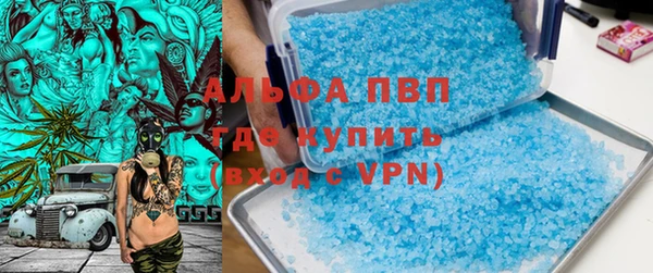 твердый Инта