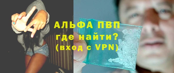 твердый Инта
