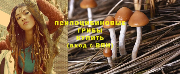 твердый Инта