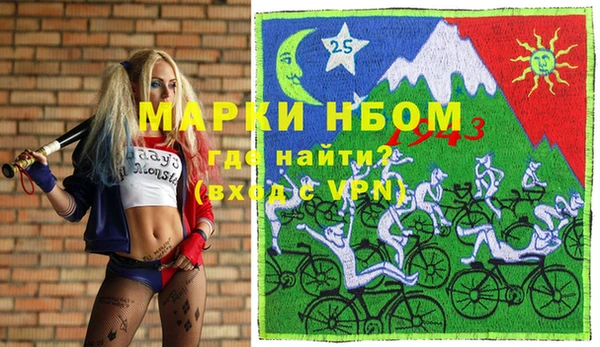 твердый Инта