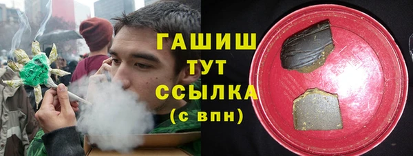 твердый Инта