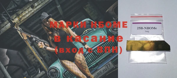 сатива Инсар