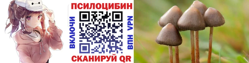 Галлюциногенные грибы MAGIC MUSHROOMS  Менделеевск 