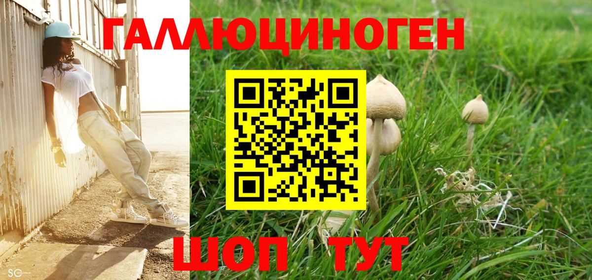 Галлюциногенные грибы Psilocybe  Вход с VPN  Менделеевск 